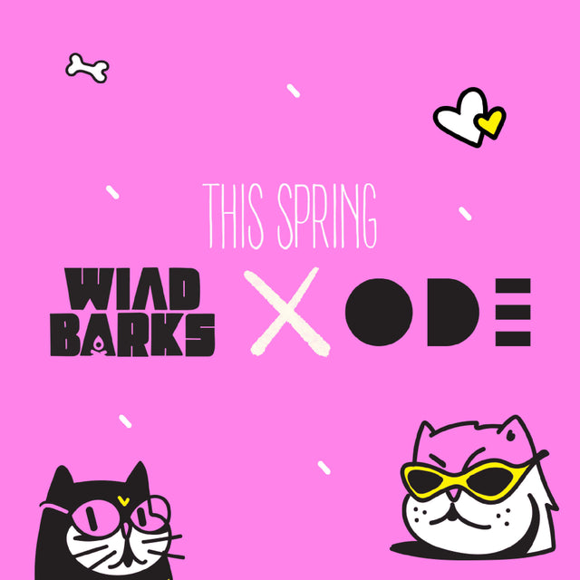 wild barks ode x wild barks collaboration