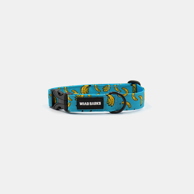wild barks bananas dog collar