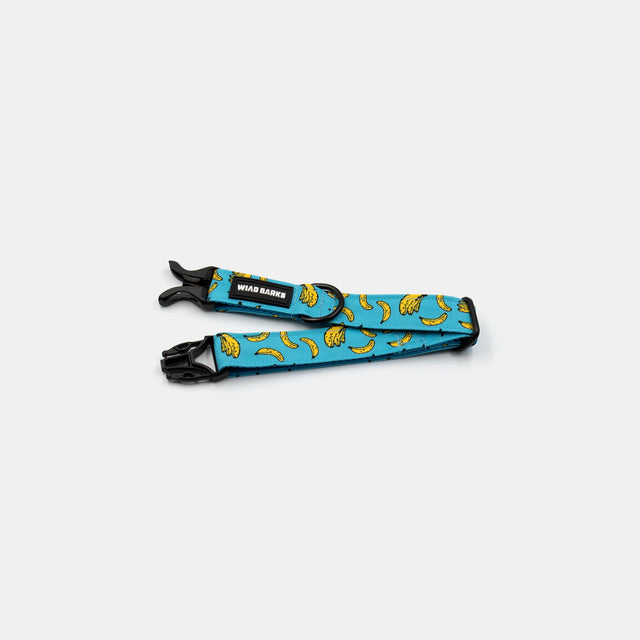 wild barks bananas dog collar
