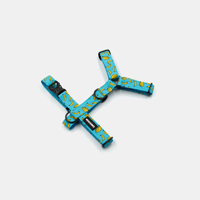 wild barks bananas dog harness