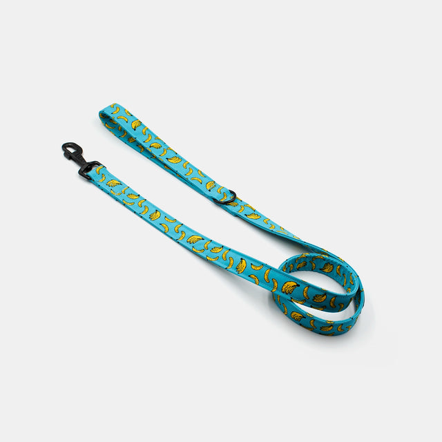 wild barks bananas dog leash