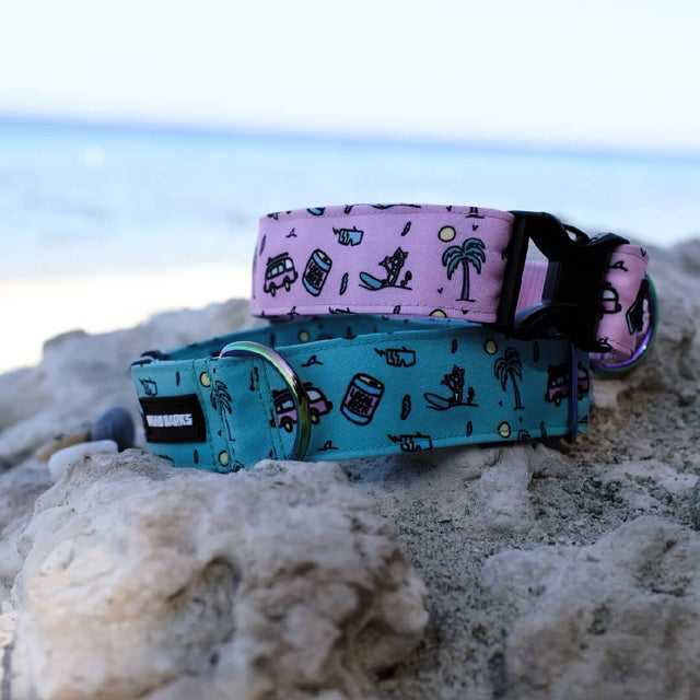 wild barks barkriders dog collar