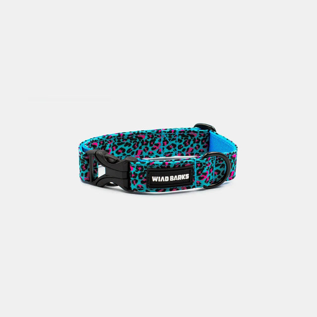wild barks blue leopard dog collar