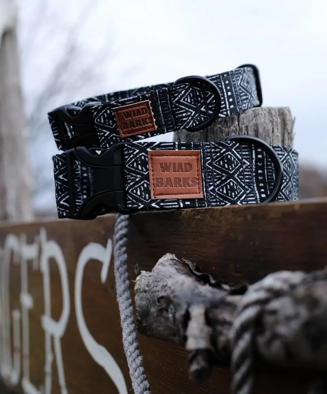 wild barks boheme dog collar