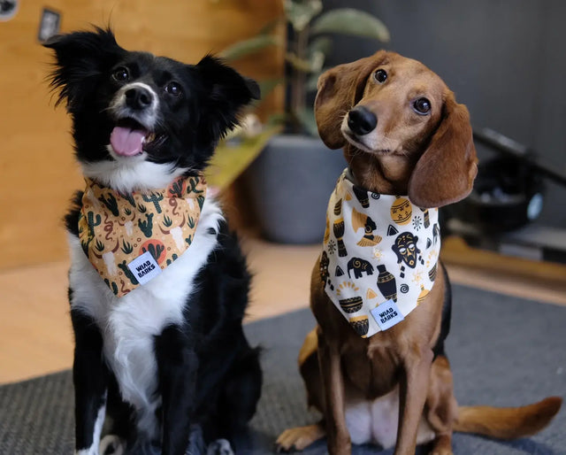 wild barks the tribe dog bandana