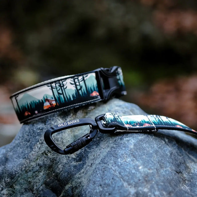 wild barks camp life dog collar