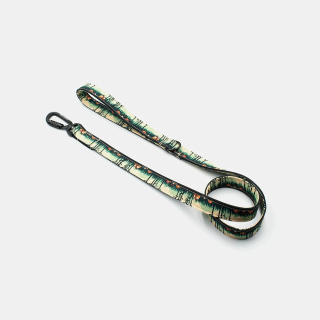 wild barks camp life dog leash