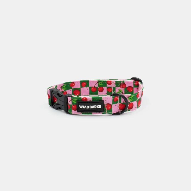 wild barks cherry dog collar