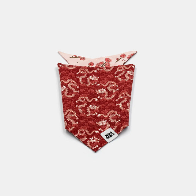 wild barks dragon dog bandana