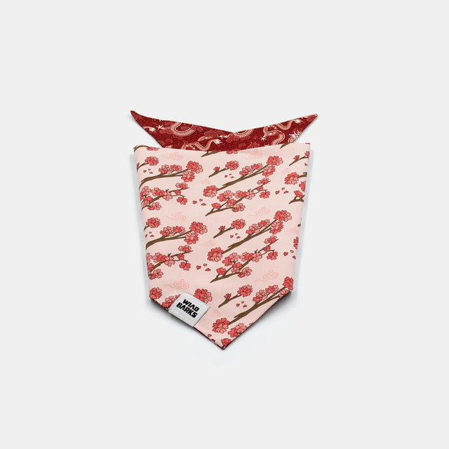 wild barks dragon dog bandana