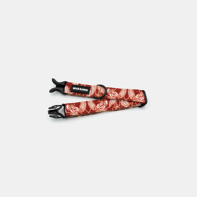 wild barks dragon dog collar