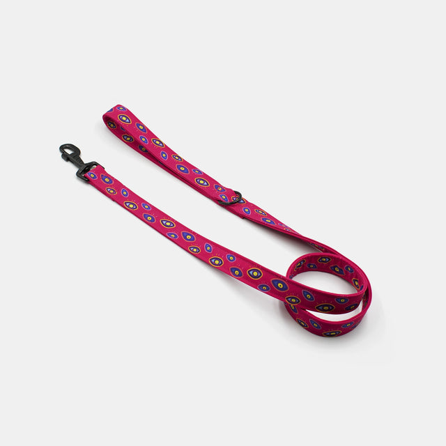 wild barks the eye dog leash