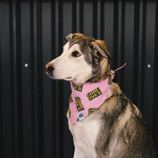 wild barks reversible dog bandanas collection