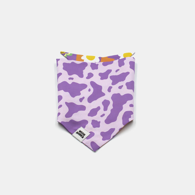 wild barks happy daisy dog bandana