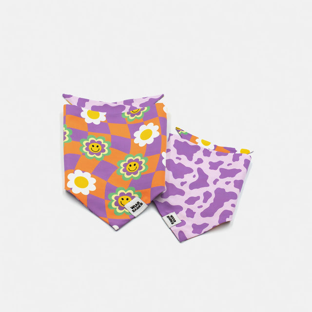 wild barks happy daisy dog bandana