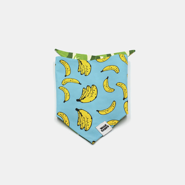 wild barks it's bananas dog bandana