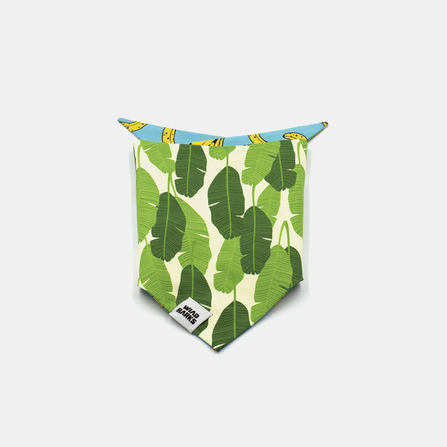 wild barks it's bananas dog bandana
