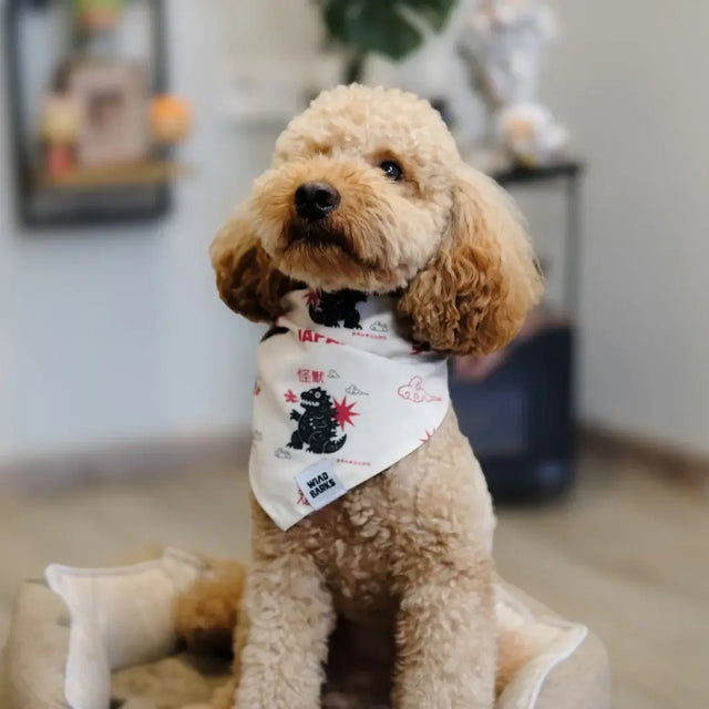 wild barks japan dog bandana