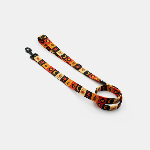 wild barks kenya dog collar