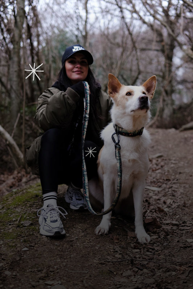 wild barks image with a girl and a dog in the woods