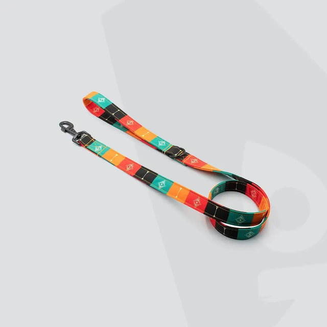 wild barks dog leashes collection