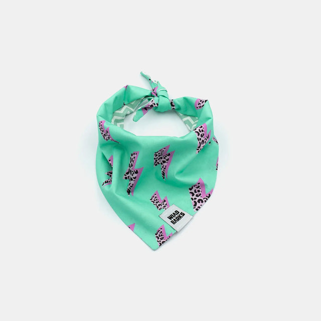 wild barks leopard thunder dog bandana
