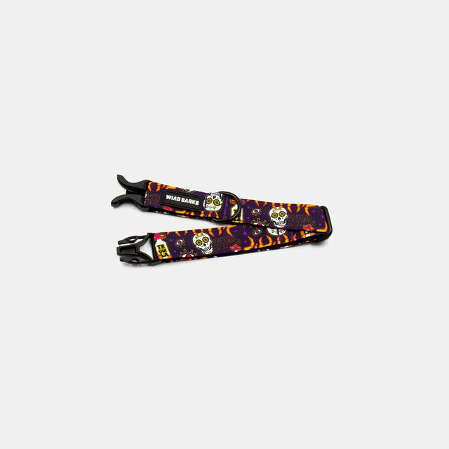 wild barks los muertos dog collar