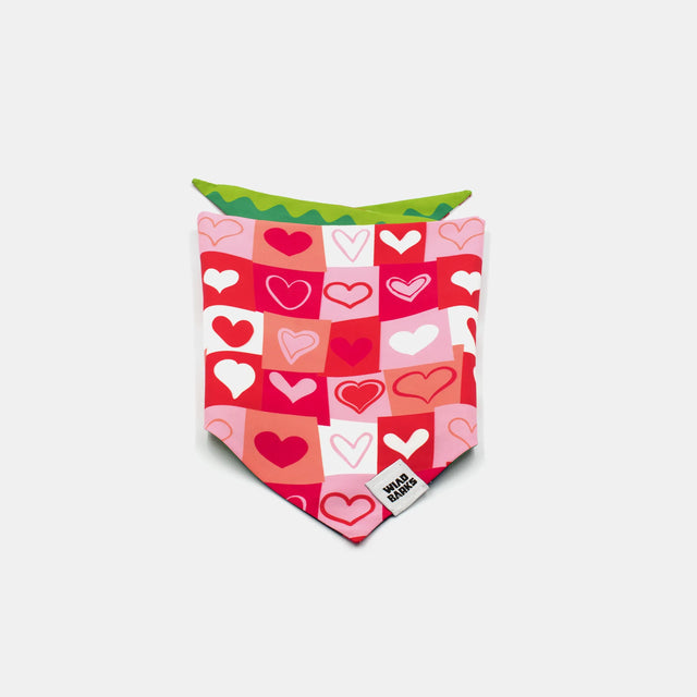 wild barks love is love bandana
