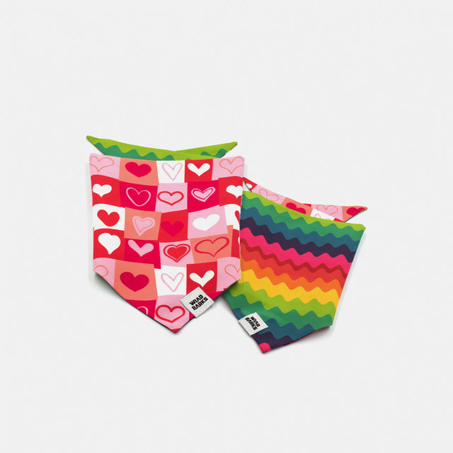 wild barks love is love bandana