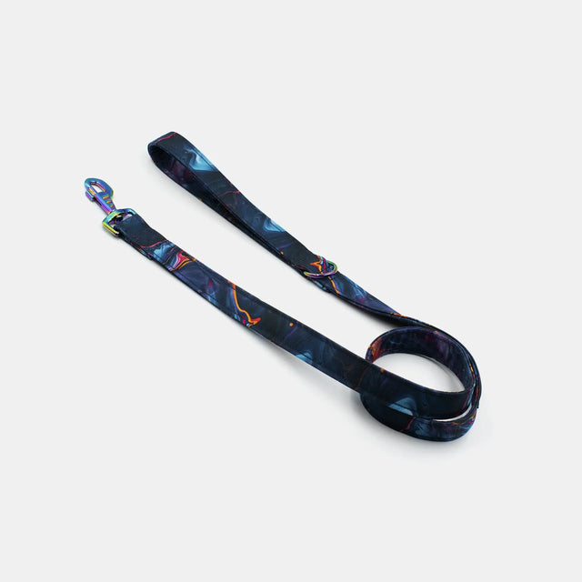 wild barks milky way dog leash