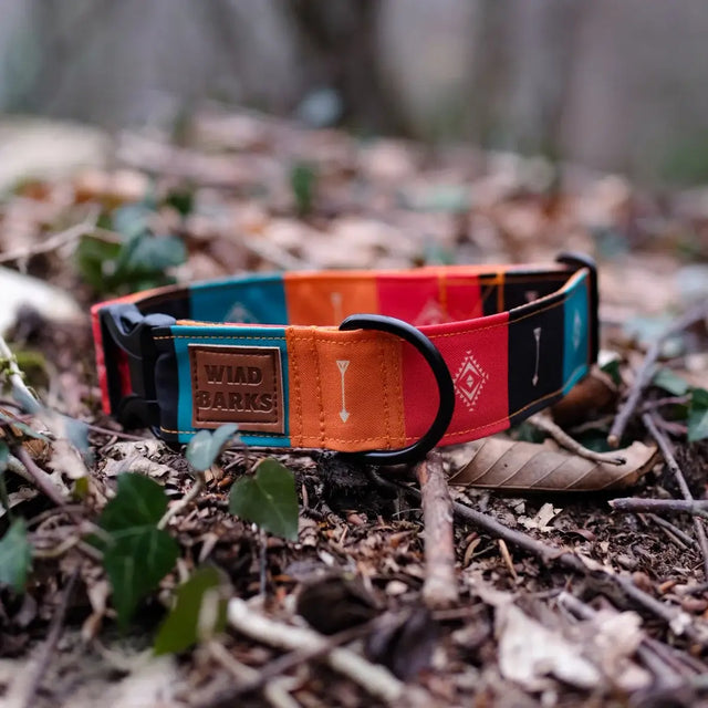 wild barks native dog collar