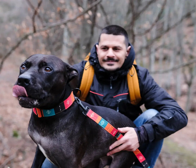 wild barks native dog leash
