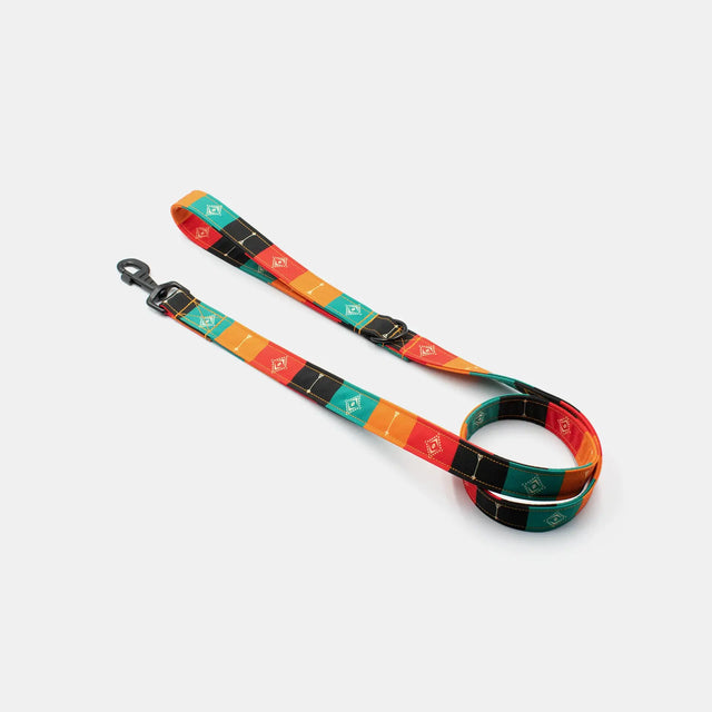 wild barks native dog leash