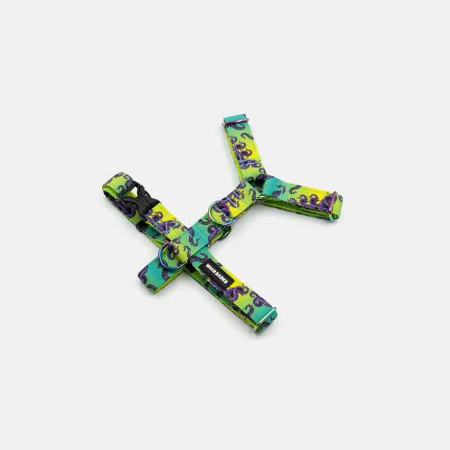wild barks green octopus σαμαράκι σκύλου