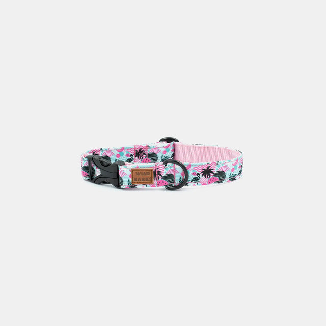 wild barks pool party dog collar