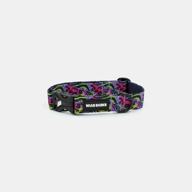 wild barks purple leopard dog collar