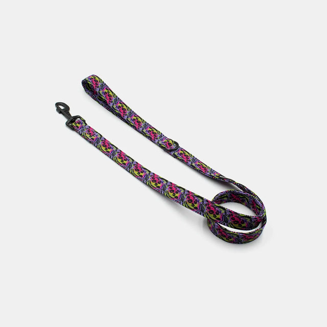 wild barks purple leopard dog leash
