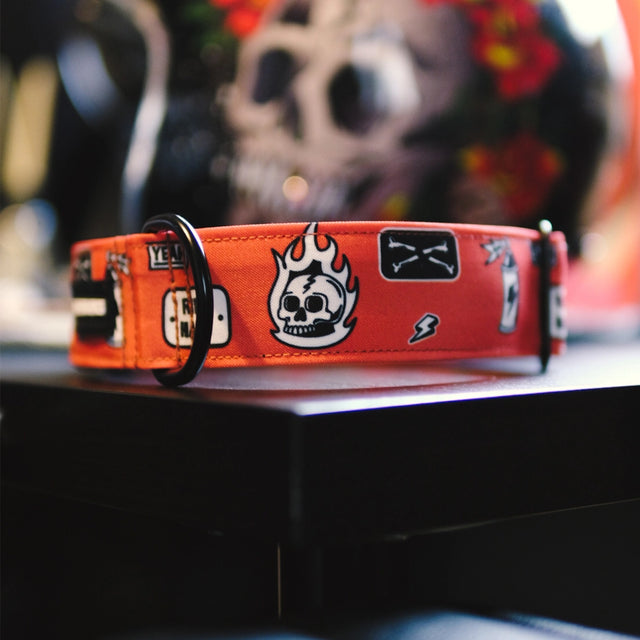 wild barks riders collection