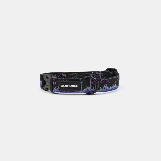 wild barks skate or die dog collar