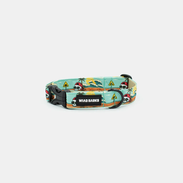 wild barks skull on the beach dog collar