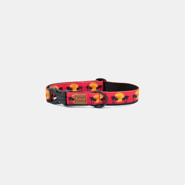 wild barks sunset in california dog collar