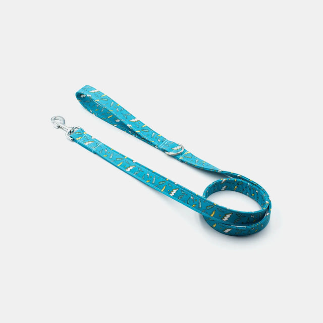 wild barks thunder dog leash