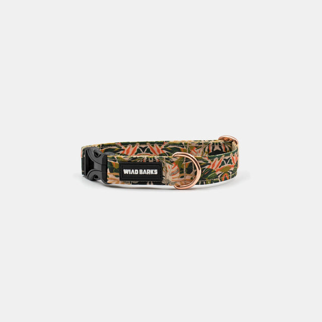 wild barks tropicana dog collar