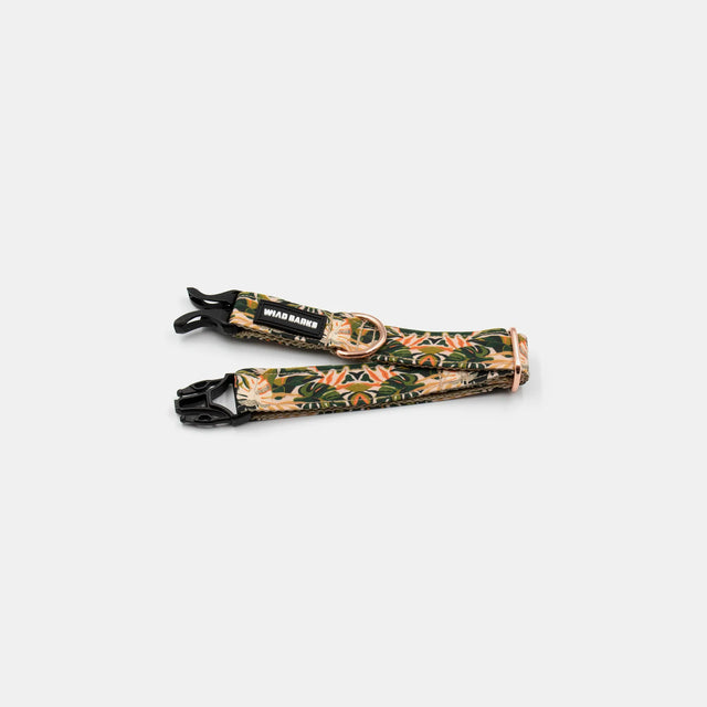 wild barks tropicana dog collar