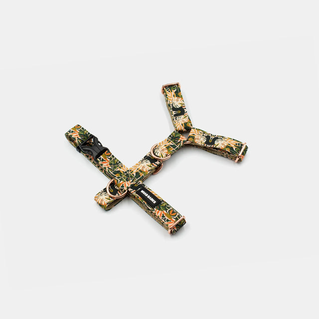 wild barks tropicana dog harness