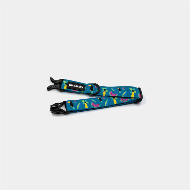 wild barks tucan dog collar
