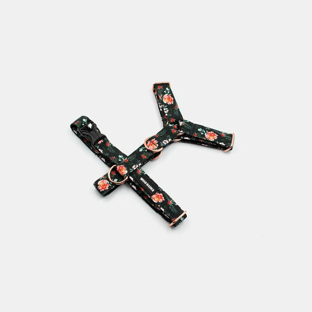 wild barks vintage floral σαμαράκι σκύλου