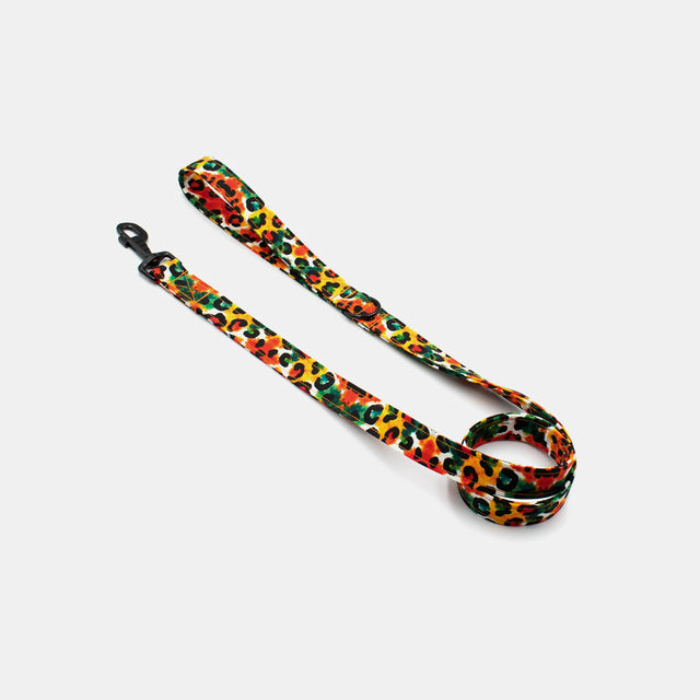 wild barks watercolor leopard dog leash