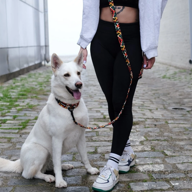 wild barks watercolor leopard hands-free οδηγός περιπάτου σκύλου