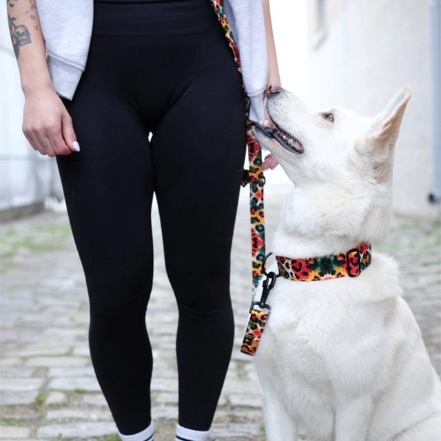 wild barks watercolor leopard hands-free οδηγός περιπάτου σκύλου